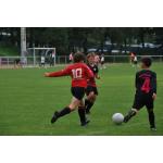 780x520Kinder u.Jugendsportspiele Neustadt-Sa. 1.07 (80).JPG